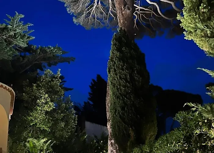 Apartamento Maison D'orange - La Pinede *